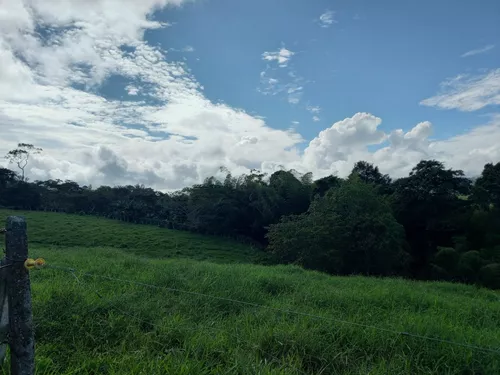 Vendo Finca Ganadera En Restrepo Valle