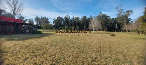 Imagen 7 de 30 de Venta Chacra En Los Ceibos, Maldonado, Punta Del Este