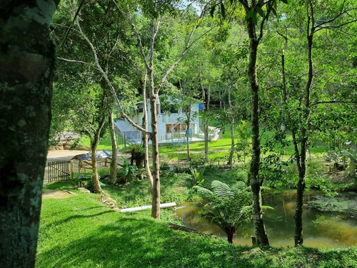 Imagem 11 de 30 de Linda Chacará Com Mais De 36.000 M², Situada Na Cidade De Quitandinha, Paraná. - Ch00019 - 70570203