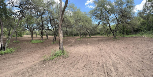 Terrenos A La Venta En San Javier