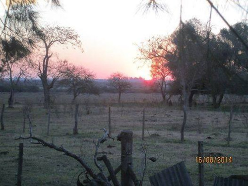Imagen 7 de 14 de Campo En Venta En Concepcion Del Uruguay
