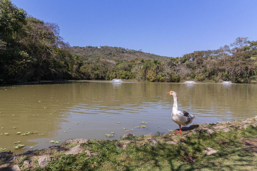 Imagem 30 de 30 de Terreno À Venda, 684 M² Por R$ 155.000,99 - Itapevi - Itapevi/sp - Te0130