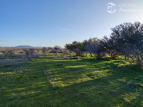 Sitio En Venta En Cauquenes