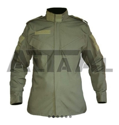 Uniforme Gendarmería Nacional Uogen Cuello Mao 