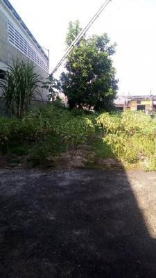 Imagem 6 de 14 de Casa No Litoral Em Itanhaém Com 520m² - 7730 Lc