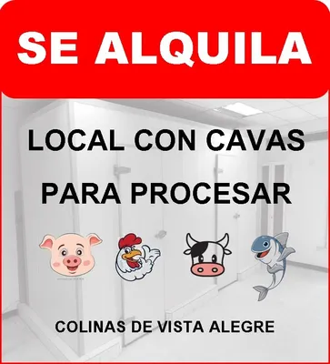 Local en alquiler
