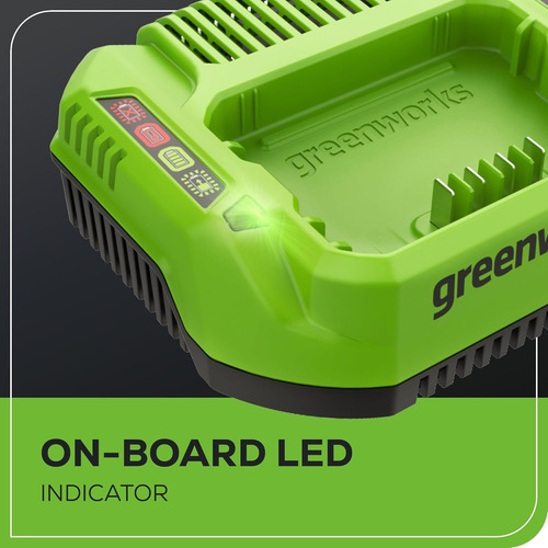 Cargador Estándar Pro 60v 3a