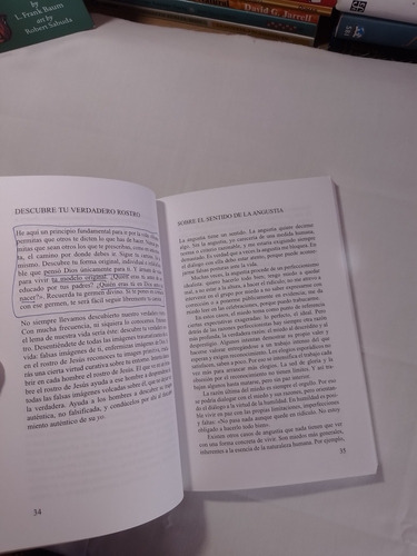 El Libro Del Arte De Vivir Anselm Grun (Usado)