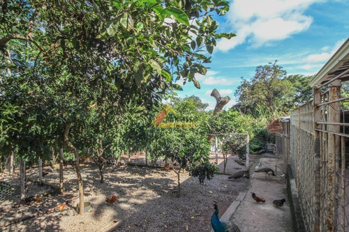 Imagem 18 de 28 de Chácara Para Aluguel, 3 Quartos, 1 Suíte, 4 Vagas, Vivendas Da Exposição - Divinópolis/mg - 46085