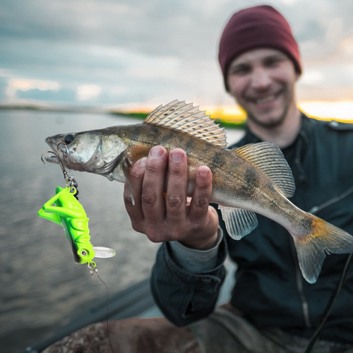 Juego De 5 Cebos Para Peces Con Cebo De Grillo Y Saltamontes
