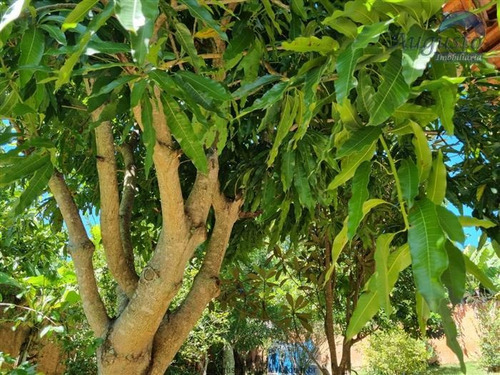 Imagem 10 de 29 de Chácaras Em Condomínio À Venda Em Atibaia/sp - Compre O Seu Chácaras Em Condomínio Aqui! - 1384504