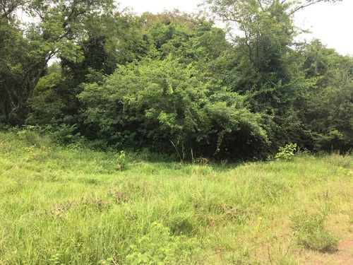 Imagen 7 de 30 de Chacra De 50 Hectáreas En Venta