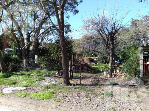 Imagen 3 de 3 de Venta Terreno- Villa Elisa