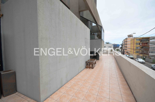 Oficina Planta Libre, Con Mobiliario, En 313 M2