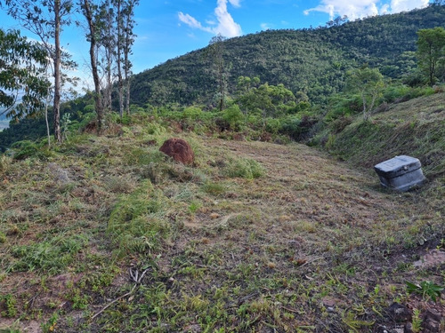 Imagem 10 de 13 de Chácara Vista Privilegiada Santo Antônio Do Pinhal - Sp - Centro - St-11501