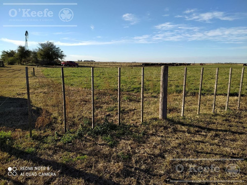 Imagen 26 de 30 de Dolores 210 Has. Campo Mixto En Venta. Excelente Unidad Productiva.