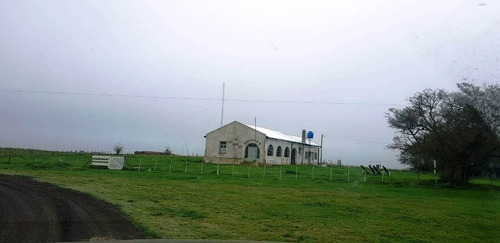 Imagen 12 de 21 de Campo En General Madariaga-