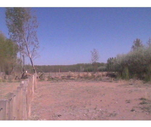 Imagen 13 de 15 de Terreno En Malargue Mendoza!