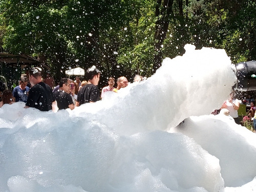Alquiler Cañón Para Fiesta De La Espuma, Maquina De Espuma!