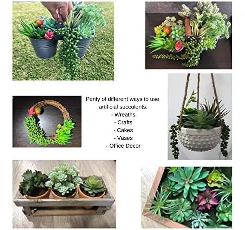 Tabla De Cocina Maniacs Mini Plantas Suculentas Artificiales
