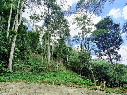Imagem 3 de 7 de Terreno Condominio Bosque Do Ingelheim - 2944373063490