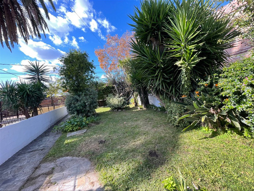 Jardín Estufa A Leña Parrillero Reciclada