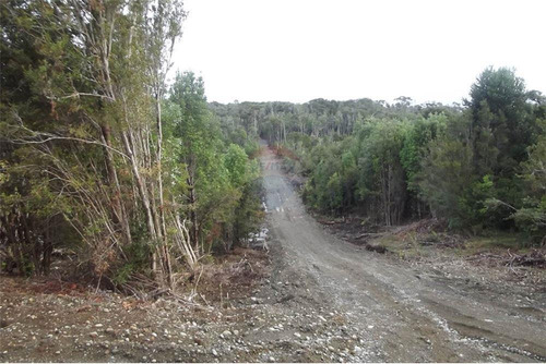 Imagen 6 de 30 de Parcela Disponible - Chiloe
