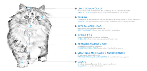 Lata Nupec Felino Kitten 100g | Desarrollo Óseo Y Muscular