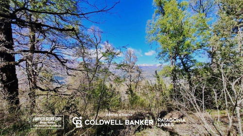 Venta Lote/terreno 3 Hectáreas Vega Maipu San Martin De Los Andes