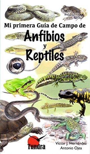 Mi Primer Guía De Campo De Anfibios Y Reptiles