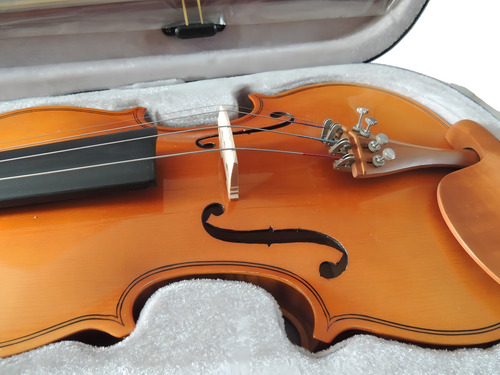 Violín Alto 4/4 Con Estuche, Arco Y Brea. Color Café