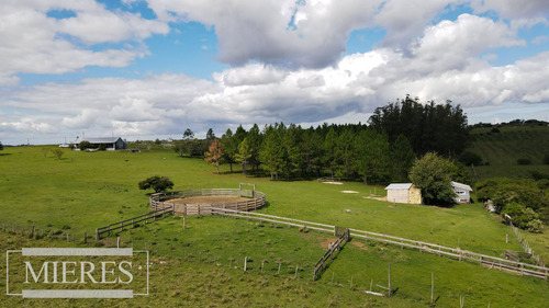 Venta De Chacra Con Casa 8ha En Pueblo Edén Ref 7454 (ref: Atm-7454)