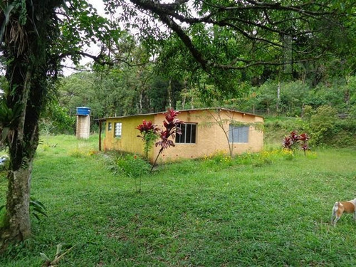 Imagem 2 de 14 de Cód 3023 - Lindo Sitio Para Quem Busca Tranquilidade. - 3023