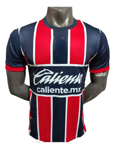 Playera De Unas Chivas De Guadalajara