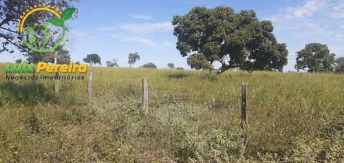Imagem 2 de 7 de Fazenda À Venda Em Figueirão - Ms - De 1.003 Hectares (pecuária) - 1684
