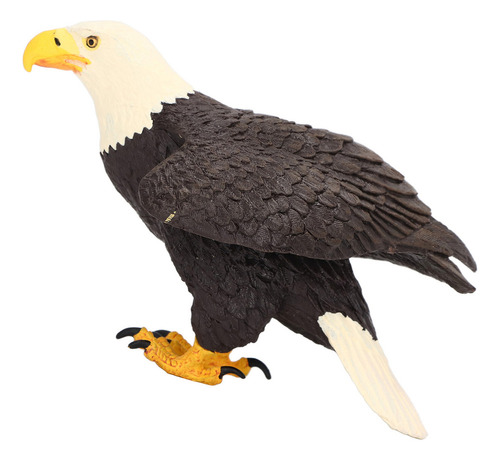 Adorno De Águila Calva, Realista, Pintado A Mano, Accesorios