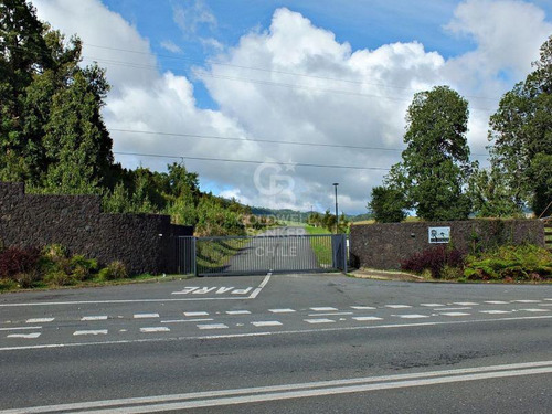Condominio Consolidado | Acceso Al Lago Llanquihue