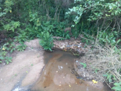 Terreno Em Vila Nova - Li50879502