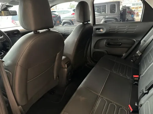 C4 Cactus Shine