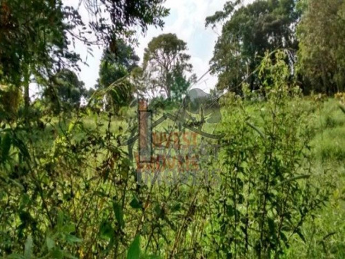 Imagem 5 de 7 de Cód 1276 - Terreno De 2000 M², De Frente Para O Asfalto . - 1276