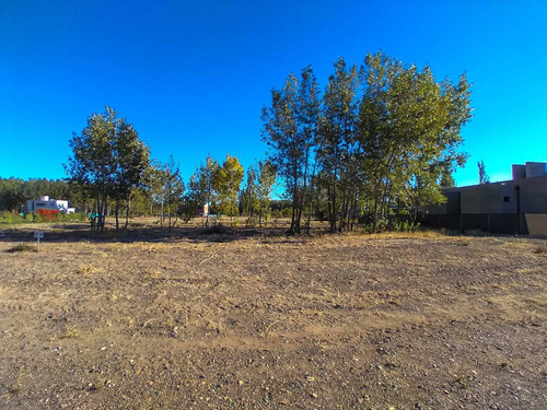 Imagen 5 de 25 de Lote En Los Canales De Plottier - Fondo De Cancha