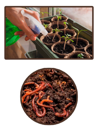 Humus De Lombriz - Saco De 25 Kg /para Jardines Y Huertos