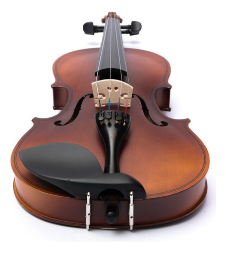 Violín 4-4 Acústico Profesional Madera Estuche Y Accesorios