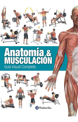 Libro Anatomã­a & Musculaciã³n. Guã­a Visual Completa (co...