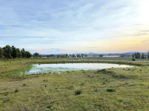 Venta Chacra 5 Hectareas Sobre Ruta 12