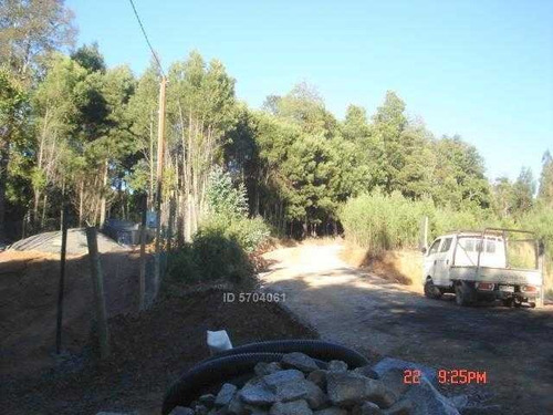 Imagen 6 de 13 de Camino Nonguen S / N , Sector Reserva De Nonguen Concepción