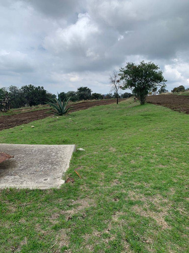 Imagen 8 de 12 de Terreno En Venta
