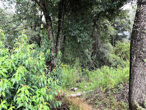 Increíble Terreno Con Agua
