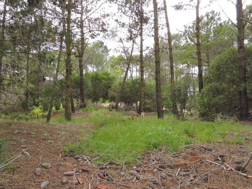 Vendo Lote En Venta . Carilo