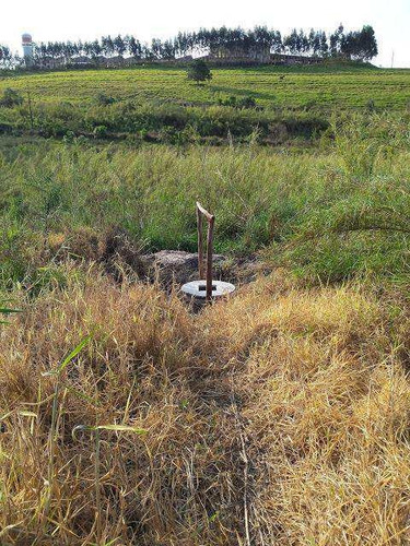 Imagem 3 de 6 de Sítio, Pinhal, Cabreúva - R$ 9 Mi, Cod: 42230 - V42230